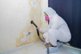 Best Residential Mold Inspection & Testing in Yale, OK